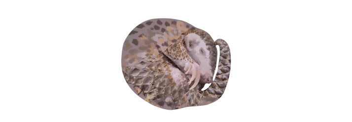 pangolin-01